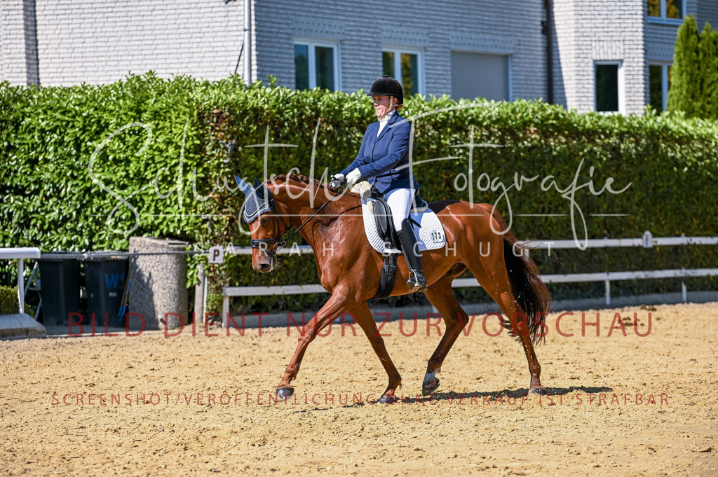 Schugtsche-Aluta25-50.Dressurpferdeprf.L-117 | Schugtsche Fotografie - Realisiert mit Pictrs.com