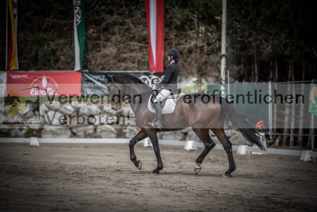 DSC_2293 | equestrian-live-com