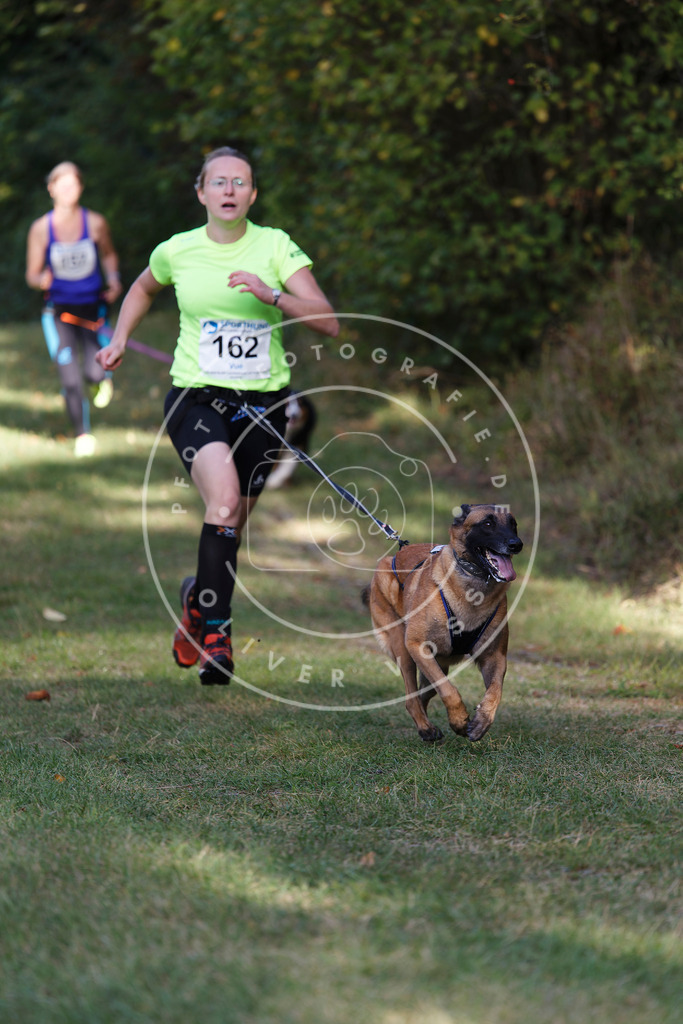 0L8A5207 | Hundefotografie, Tierfotograf, Pfotenfotografie, Fotoshooting Hund, Hunde Portrait, Hundesport, Hundeportraits, Heideshooting, Hunde, Sportfotograf, Hundefotograf, Turnierhundsport, THS,  - Realisiert mit Pictrs.com