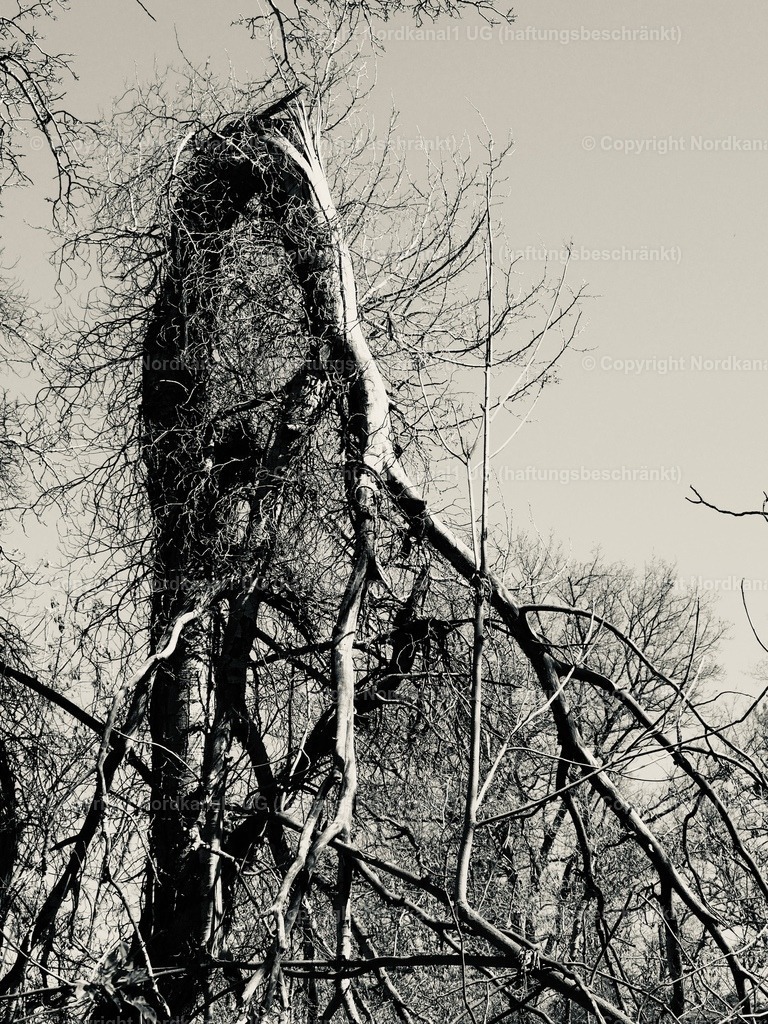 IMG_2956 | OLYMPUS DIGITAL CAMERA          - Realisiert mit Pictrs.com