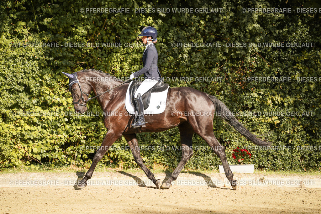 DSC05963 | Pferdegrafie