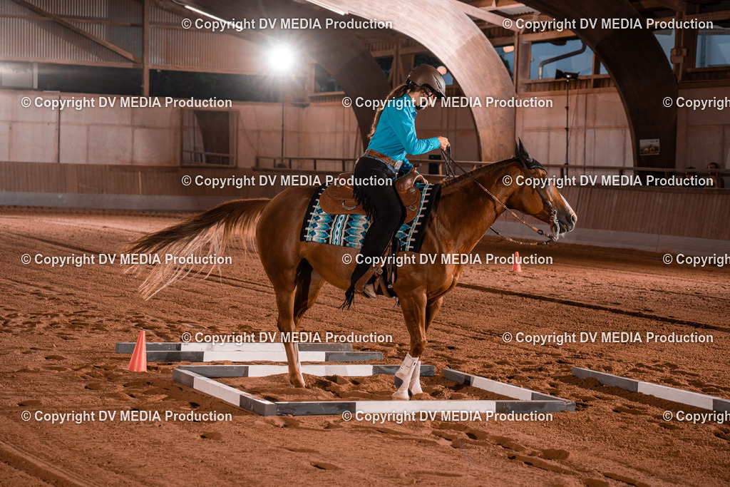 NE201518 | dv-media-shop - Realisiert mit Pictrs.com