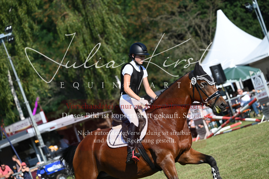 DSC_5296 | Pferde- und Turnierfotografie in Westsachsen. Pferdeportraits, Auftragszeichnungen und intuitive Kunst.