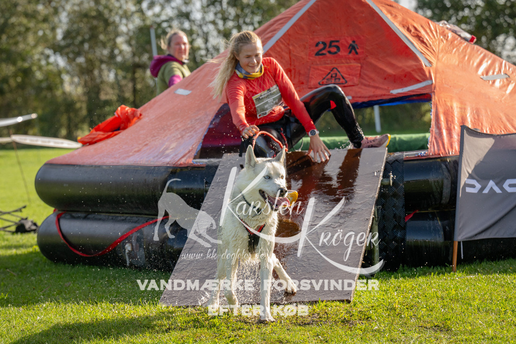 1118-92011 | kk-dogfotos