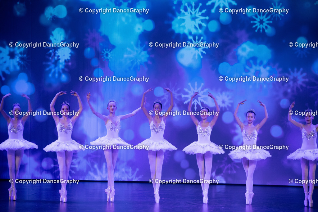 GPHY2459 | DanceGraphy - Realisiert mit Pictrs.com