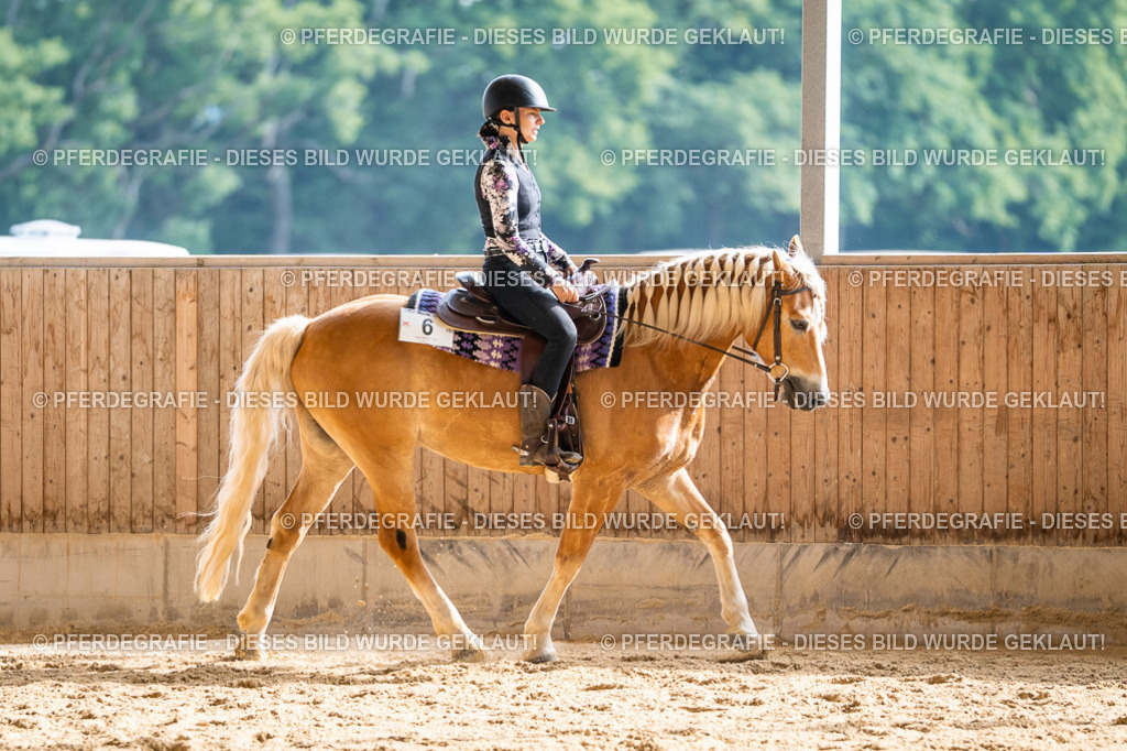 DSC08206 | Pferdegrafie