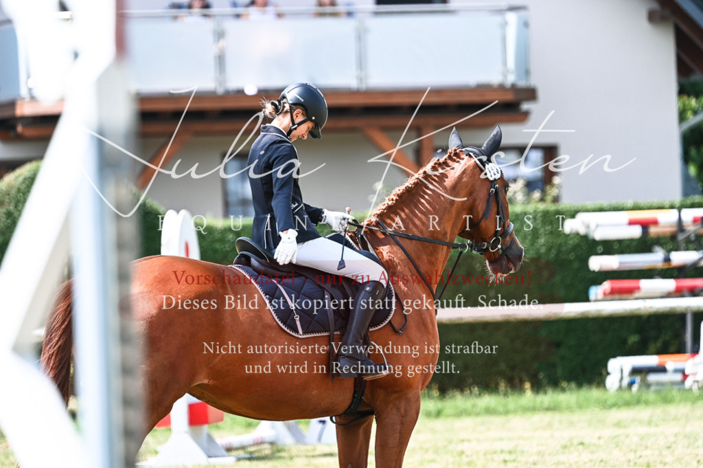 DSC_9165 | Pferde- und Turnierfotografie in Westsachsen. Pferdeportraits, Auftragszeichnungen und intuitive Kunst.