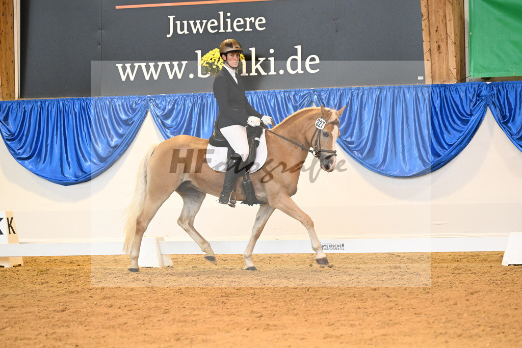 Kat-Nr. 327 Eliana_Benzler_54222133 | hf-fotografie - Realizzato con Pictrs.com