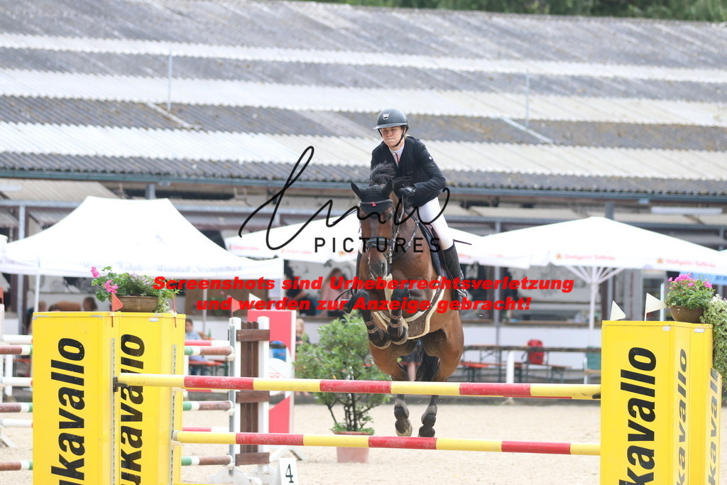 IMG_8465 | lmwpictures - Realisiert mit Pictrs.com