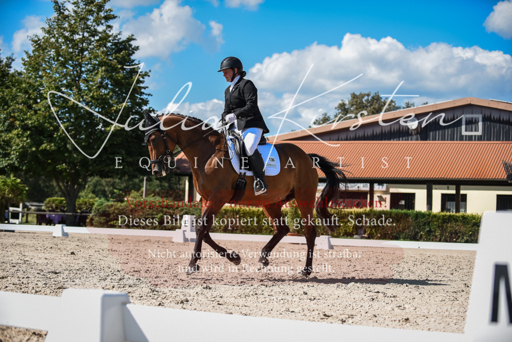 DSC_9639 | Pferde- und Turnierfotografie in Westsachsen. Pferdeportraits, Auftragszeichnungen und intuitive Kunst.