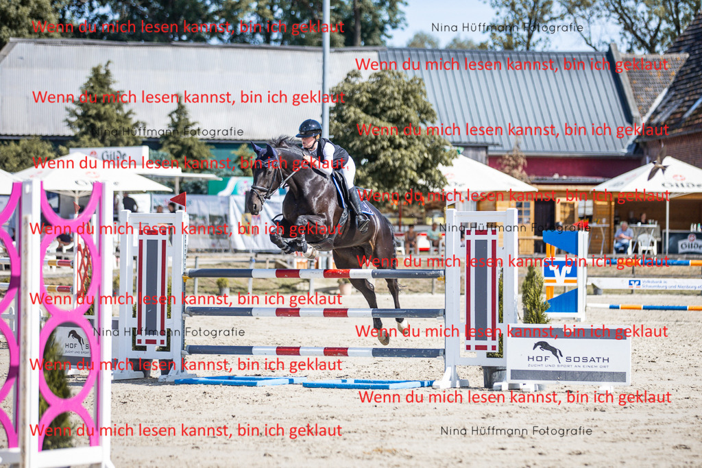 BK1A6955 | Turnierbilder Turnierfotos Nina Hüffmann Turnierfotografie Pferdefotografie Tierzeichnung Haustierzeichnung Pferdezeichnung Hundezeichnung Videograf  - Realisiert mit Pictrs.com
