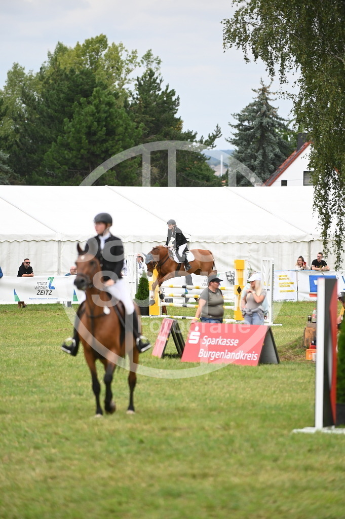 DSC_1567 | sattelsport - Realisiert mit Pictrs.com