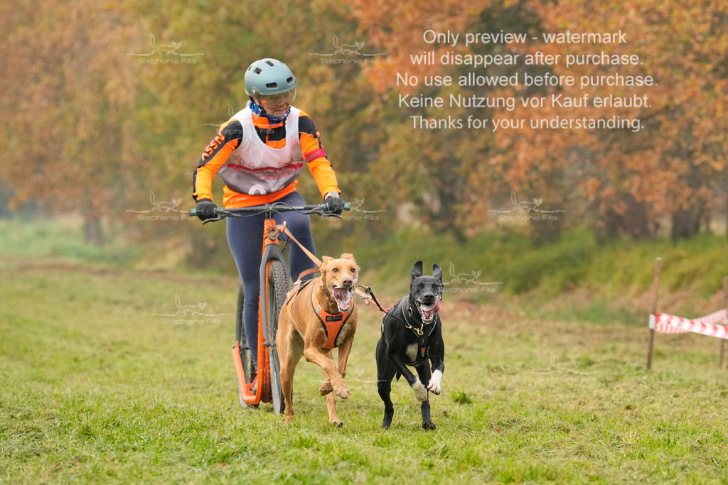 Visbeck_Sa_DS2DR2-14 | stephaniefillaphotographie - Realisiert mit Pictrs.com