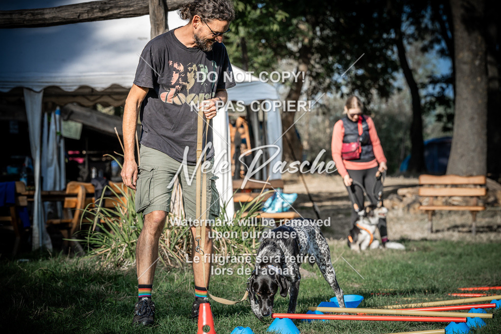 nelerasche_slaw24Sa_71 | nelerasche