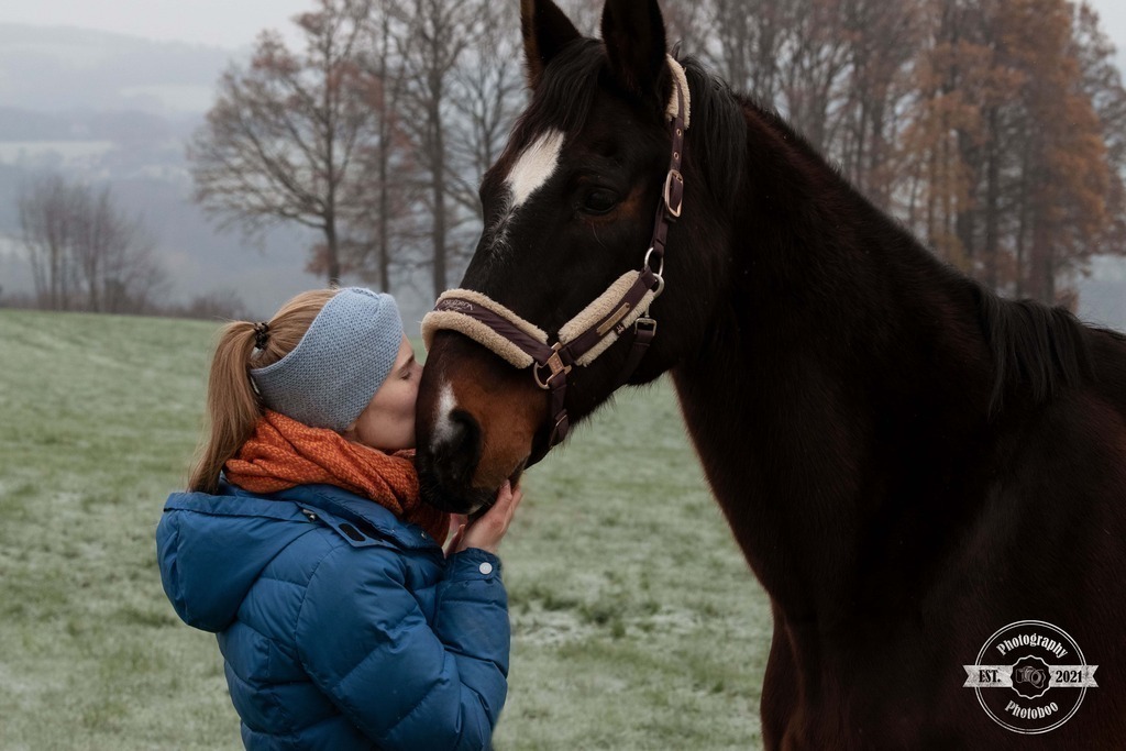Lieblingsbilder_Photoboo_22 | Pferde- und Hundefotografie in Köln und Umgebung von Vanessza Csuka - Realisiert mit Pictrs.com