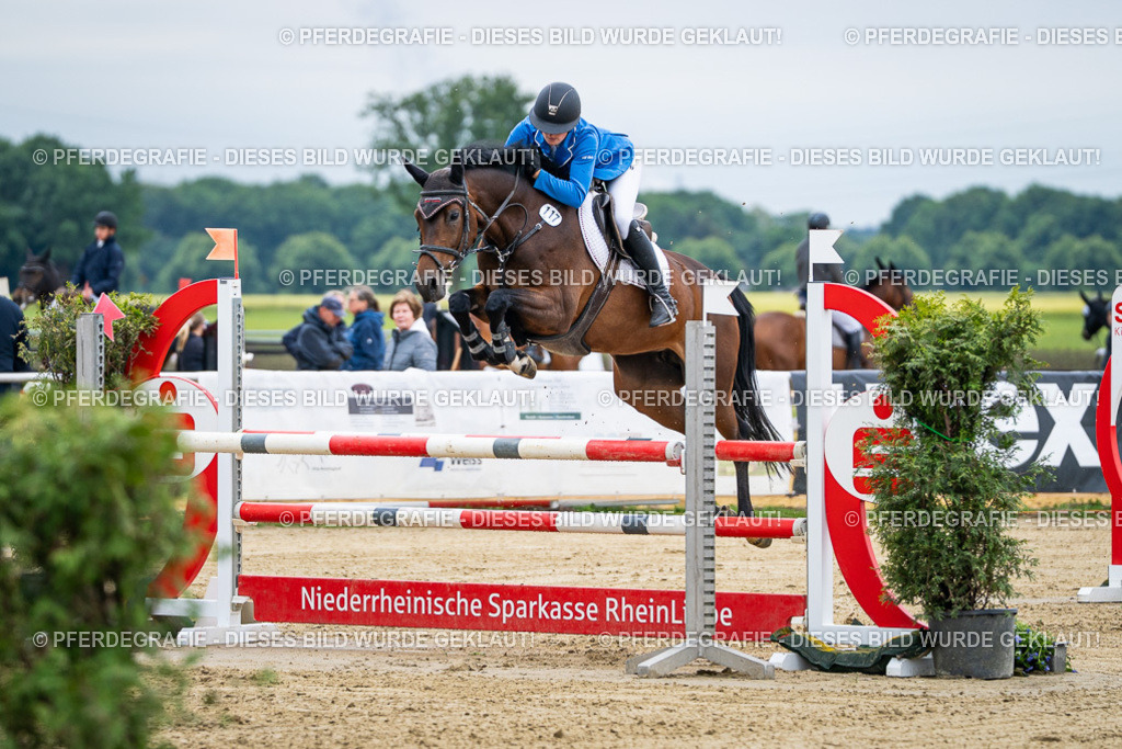 DSC04750 | Pferdegrafie