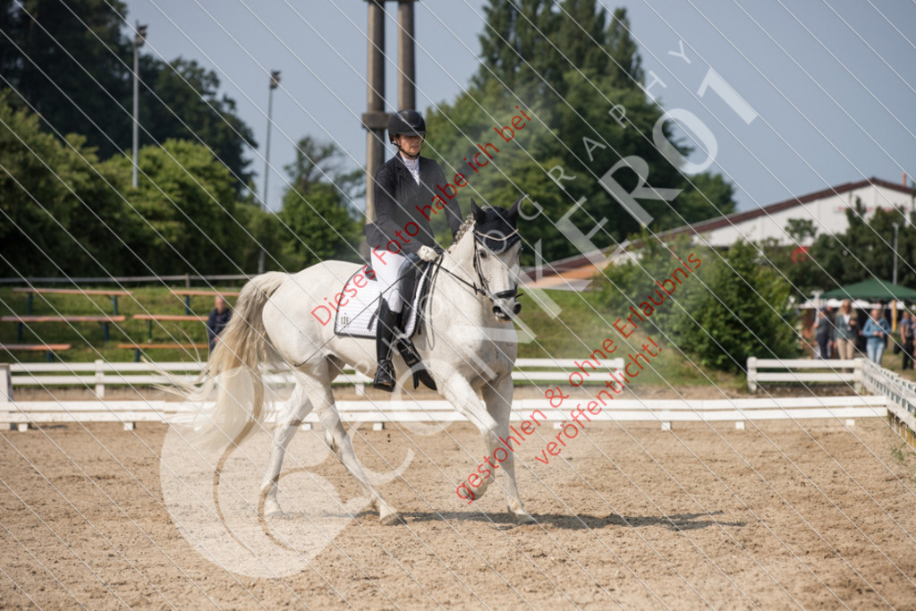 IMG_2887 | Sport-, Event- und Tierfotos in Profiqualität. Einfach auswählen, bestellen und herunterladen. Dein Moment – perfekt festgehalten.