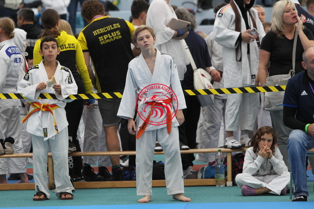 JT6F8941 | Fotos vom Adler Cup - Pictures from Adler Cup

Hier findet Ihr alle Eindrücke und großen Momente der Adler Cup Wochenenden. Here you will find all impressions and great moments of the Adler Cup weekends. - Realisiert mit Pictrs.com