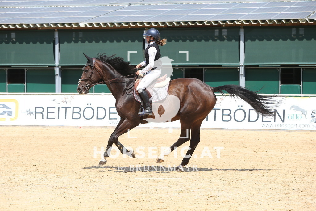 DL2Q1119 | Willkommen bei Brunnmayr - Design & Fotografie – Ihrem Spezialisten für Reitturniere und Pferdeveranstaltungen in Oberösterreich, Salzburg und Bayern! Seit über 17 Jahren sind wir leidenschaftlich dabei.