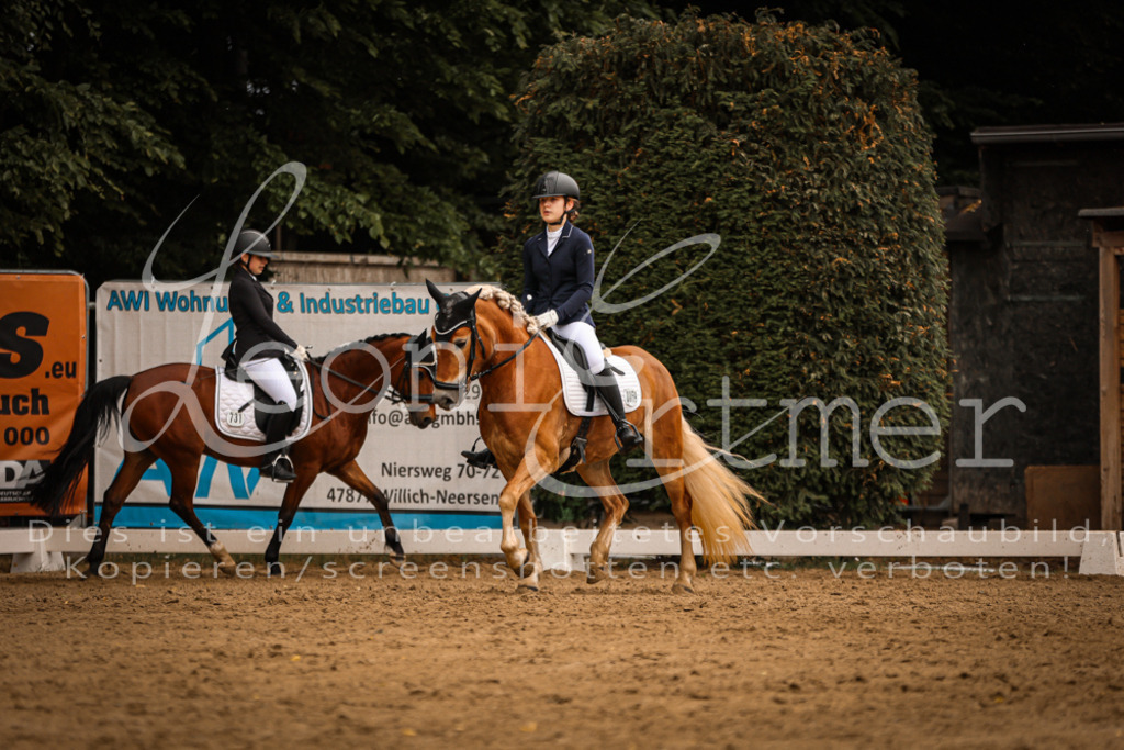 DoDrE00276 | Leoni Ertmer Photography - Realisiert mit Pictrs.com