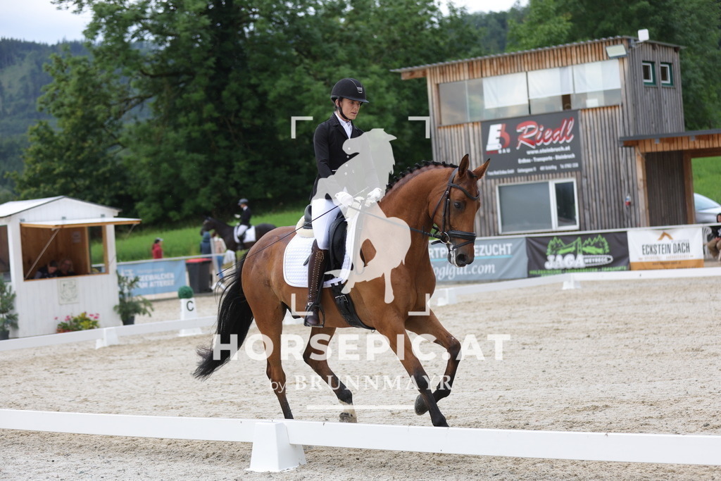 0P6A8719 | Willkommen bei Brunnmayr - Design & Fotografie – Ihrem Spezialisten für Reitturniere und Pferdeveranstaltungen in Oberösterreich, Salzburg und Bayern! Seit über 17 Jahren sind wir leidenschaftlich dabei.