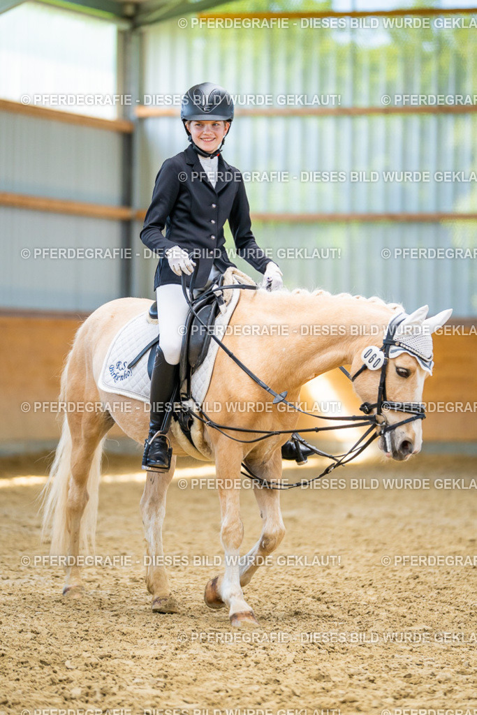 DSC08669 | Pferdegrafie