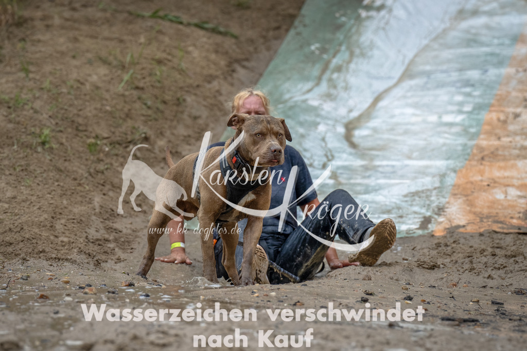 1650_ZZ90619-Bearbeitet | kk-dogfotos