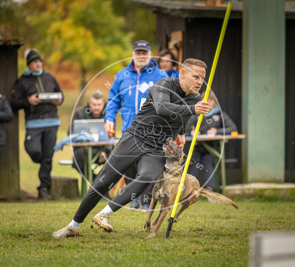 Pfotenfotografie_DV3A6919 | Hundefotografie, Tierfotograf, Pfotenfotografie, Fotoshooting Hund, Hunde Portrait, Hundesport, Hundeportraits, Heideshooting, Hunde, Sportfotograf, Hundefotograf, Turnierhundsport, THS,  - Realisiert mit Pictrs.com