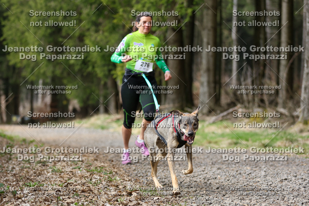 Dog Paparazzi - VCC26-412 | Dog Paparazzi Jeanette Grottendiek Fotografie & Videografie - Realisiert mit Pictrs.com