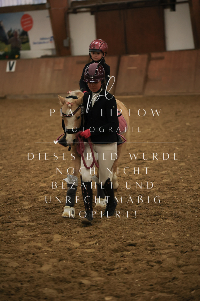 IMGT6643 | pl-fotografie