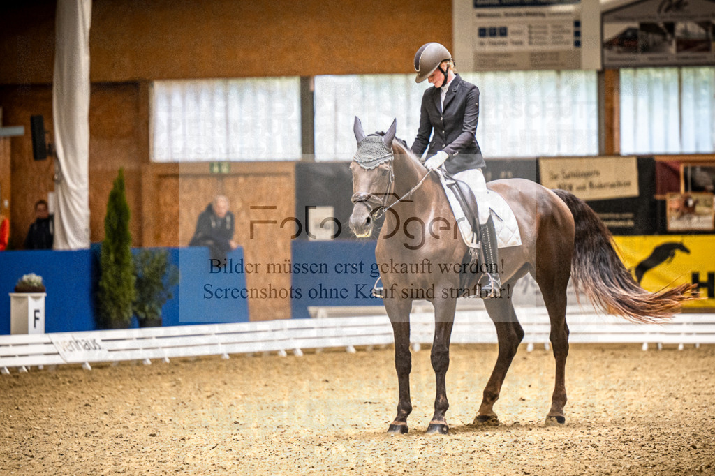 DOS_2518 | Entdecke hochwertige Reitturnierfotos von Foto Oger. Professionell, emotional und authentisch – jetzt Lieblingsmomente im Shop bestellen.Deutschlandweite Turnierfotografie. - Realisiert mit Pictrs.com