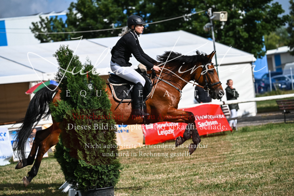 DSC_7800 | Pferde- und Turnierfotografie in Westsachsen. Pferdeportraits, Auftragszeichnungen und intuitive Kunst.