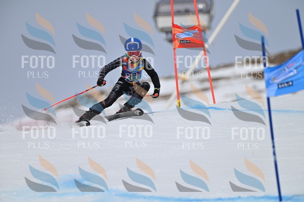 BGV_4372 | holidayphoto