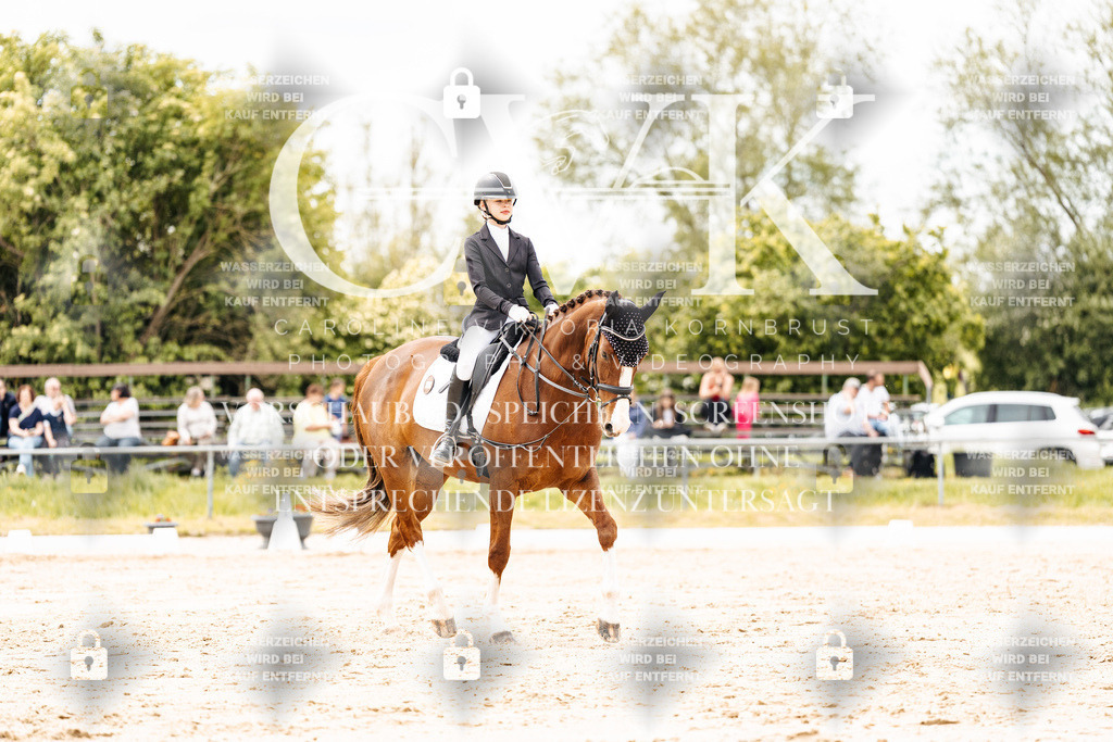 CK902910 | Turnierfotografie Pferdefotografie Trier Rheinland-Pfalz Pferdesport Reitsport Tierfotografie Sportfotografie Pferdevideo Pferdevideografie Equestrianvideography equestrianphotography  - Realisiert mit Pictrs.com