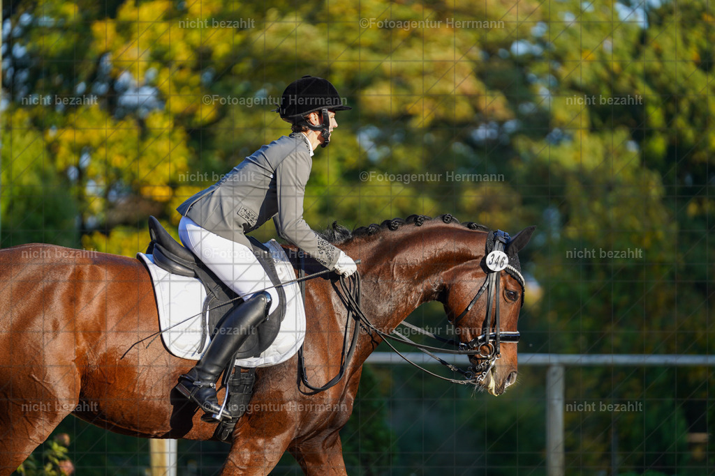 20221007-FAH00403 | Diessen am Ammersee, 2022, Dressur- und Springturnier, Reitsportbilder, Turnierfotografen Bayern, Pferdefotografen, Fotoagentur Herrmann, Turnierbilder