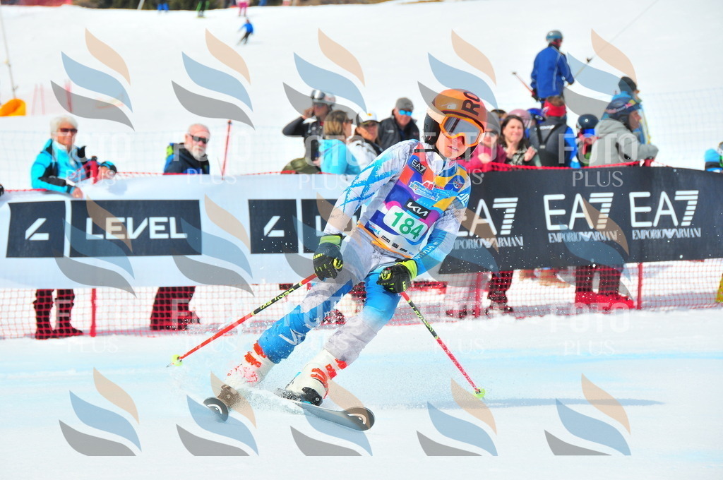 DSC_1683 | holidayphoto