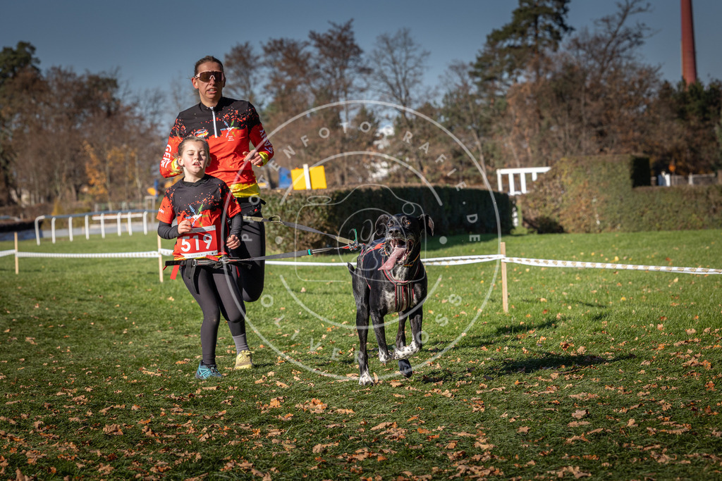CaniXpix_0L8A7060 | Hundefotografie, Tierfotograf, Pfotenfotografie, Fotoshooting Hund, Hunde Portrait, Hundesport, Hundeportraits, Heideshooting, Hunde, Sportfotograf, Hundefotograf, Turnierhundsport, THS,  - Realisiert mit Pictrs.com