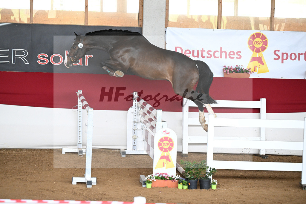 Kat-Nr. 34 Donut v. Diacontinus_Huber_9240799 | hf-fotografie - Realizzato con Pictrs.com