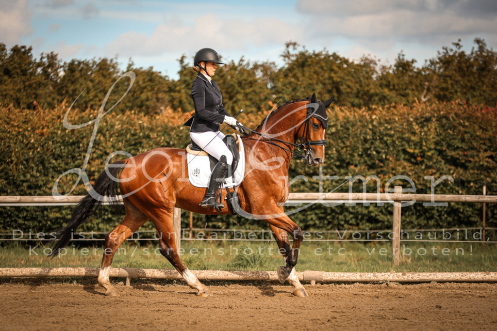 17.SoDrM00198 | Leoni Ertmer Photography - Realisiert mit Pictrs.com