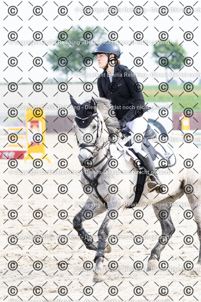 CL5A1801 | Emilia Reinking Fotografie - Realisiert mit Pictrs.com