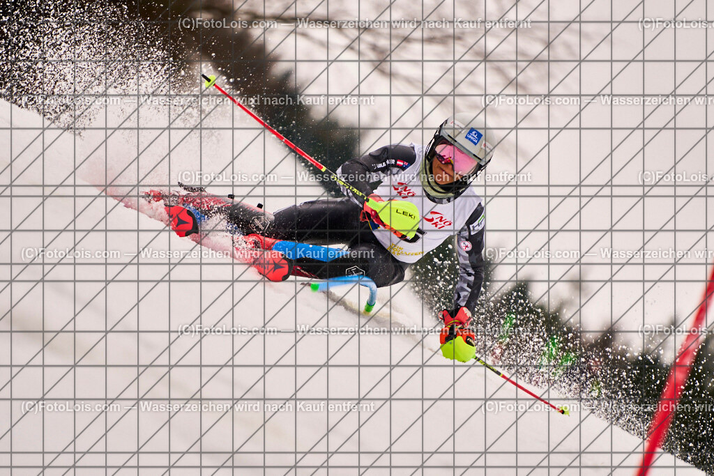 ALP9701_Herrn-FIS-SL-I_SK-Lackenhof_MAIER Lukas | Internationaler FIS Slalom der Herrn auf der Distelpiste in Lackenhof am Do 13. März 2025.  Österreich, LSV-NÖ, Schiklub Lackenhof (2010).