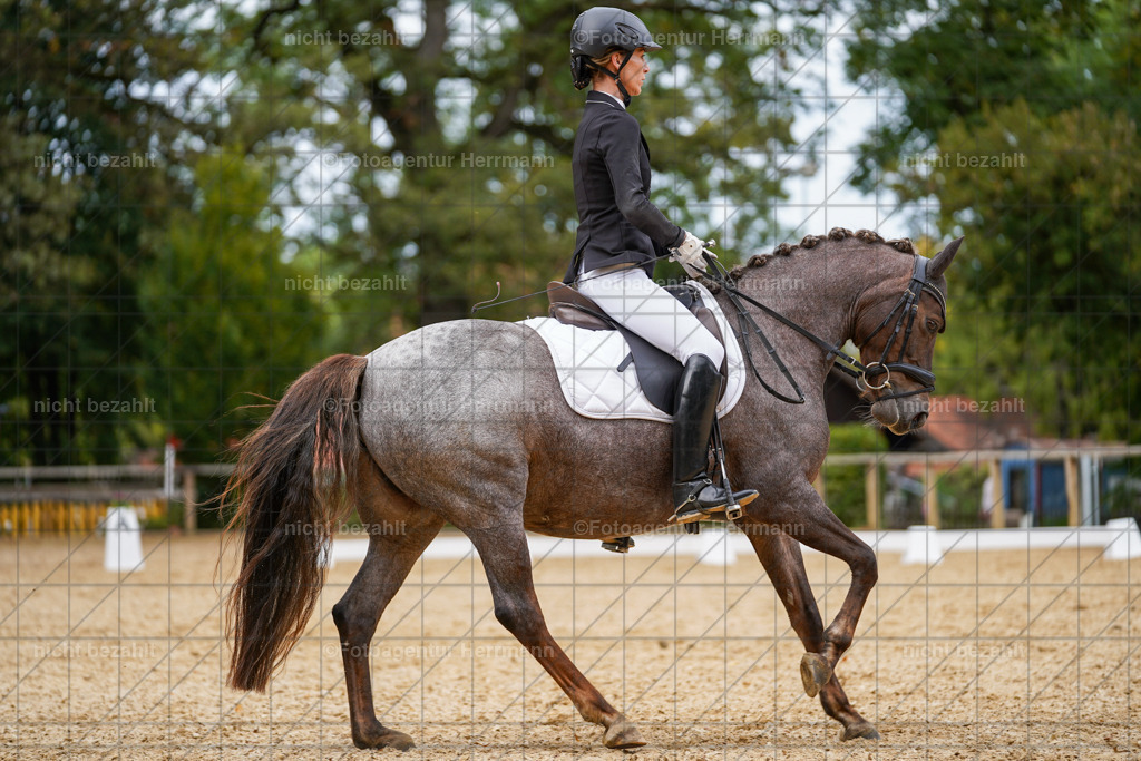 20231007-SN_00674 | Diessen am Ammersee, 2023, Dressur- und Springturnier, Reitsport, Turnierfotografie, Pferdebilder, Reitbilder, Turnierfotografen Bayern, Fotoagentur Herrmann