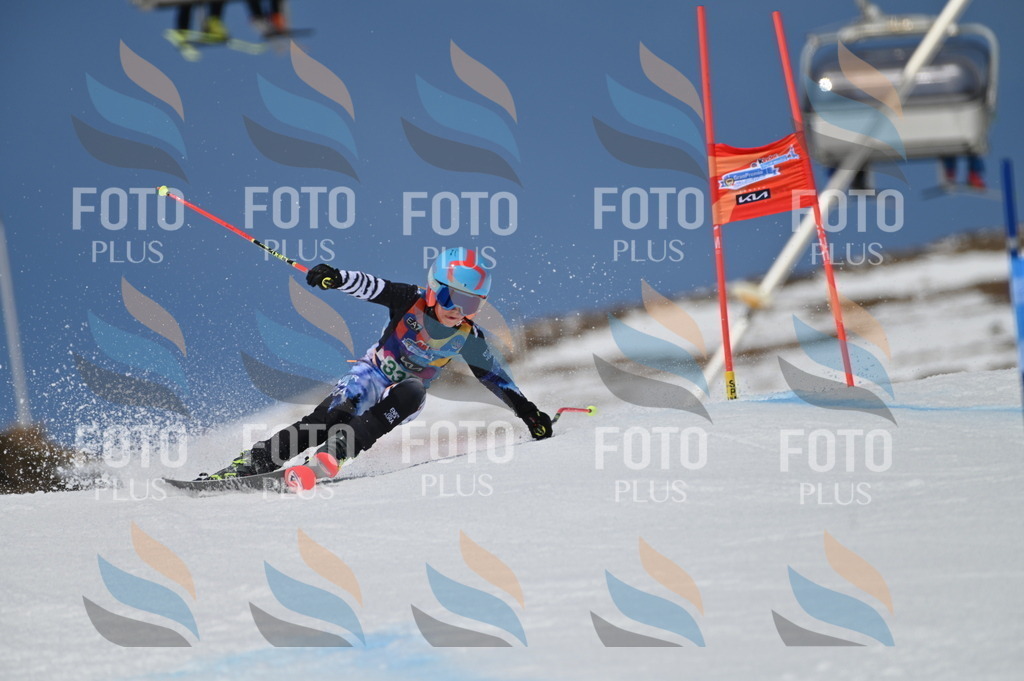 BGV_6624 | holidayphoto