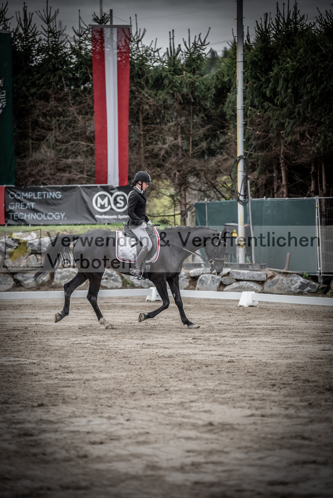 DSC_9541 | equestrian-live-com