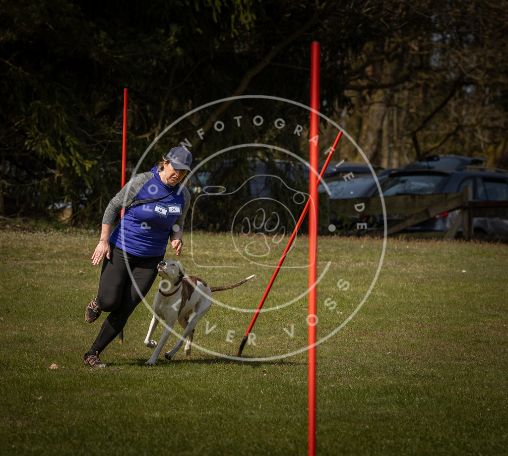 Pfotenfotografie_DV3A4579 | Hundefotografie, Tierfotograf, Pfotenfotografie, Fotoshooting Hund, Hunde Portrait, Hundesport, Hundeportraits, Heideshooting, Hunde, Sportfotograf, Hundefotograf, Turnierhundsport, THS,  - Realisiert mit Pictrs.com