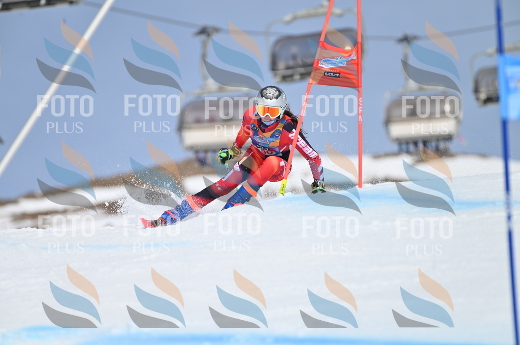 BGV_0604 | holidayphoto