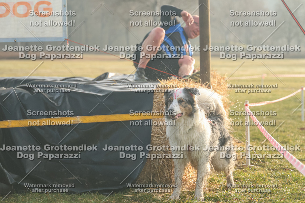 Dog Paparazzi - SD North Sa 830-900-44 | Dog Paparazzi Jeanette Grottendiek Fotografie & Videografie - Realisiert mit Pictrs.com