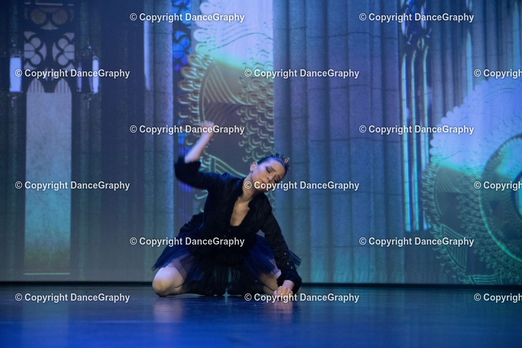 GPHY3170 | DanceGraphy - Realisiert mit Pictrs.com