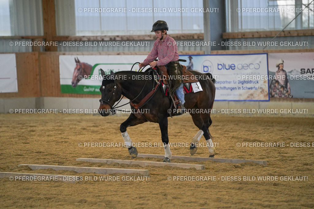 DSC09171 | Pferdegrafie