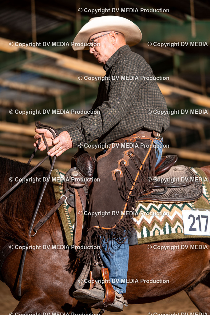 Balingen Tag 2-2116 | dv-media-shop - Realisiert mit Pictrs.com